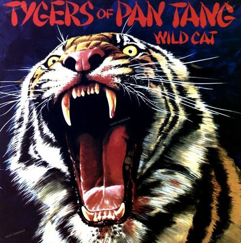 Tygers pan tang wild - tygers, cat